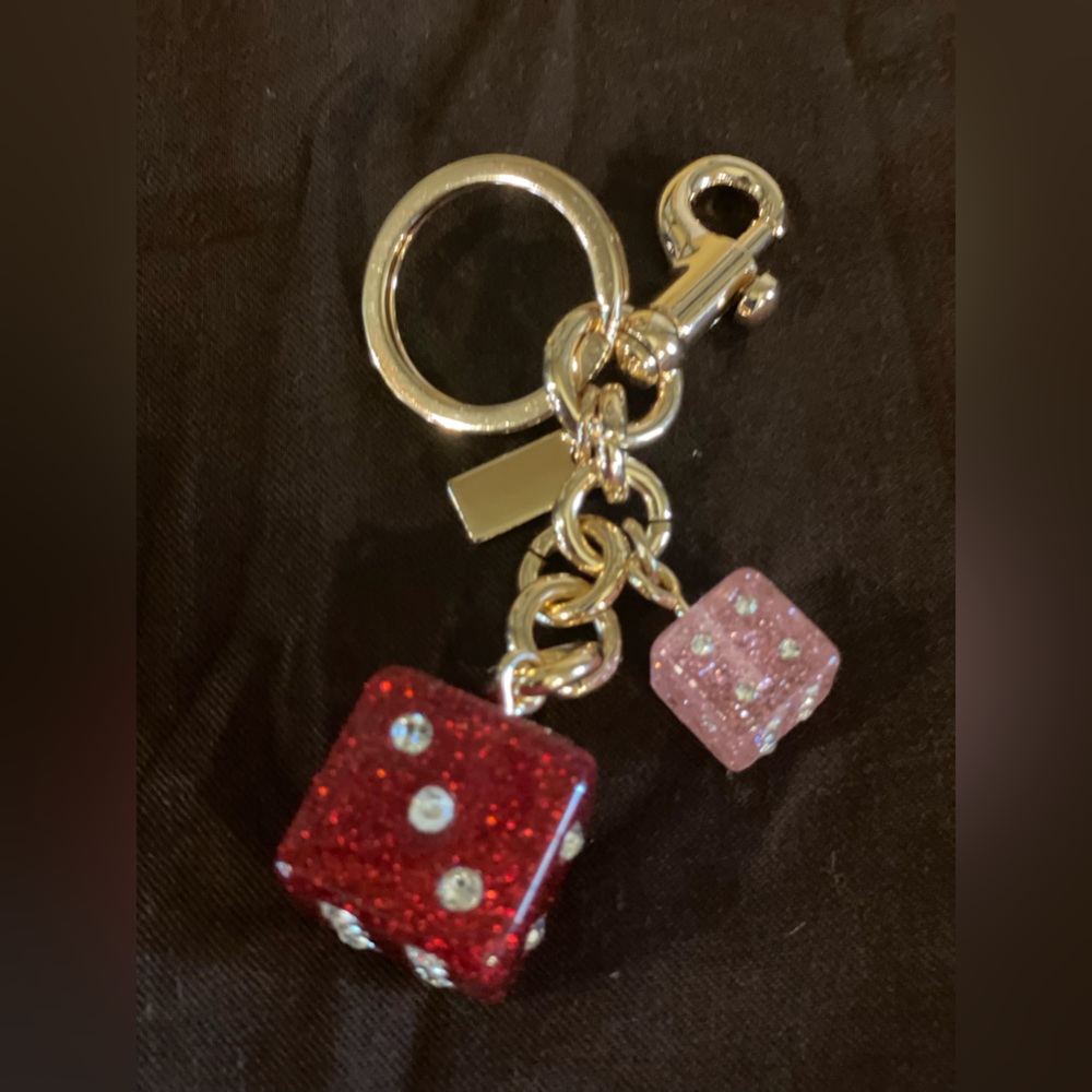 COACH Brown & Red Drawstring Dust Bag W/NWOT UNBRANDED Dice Keychain Bag Charm - Picture 5 of 10